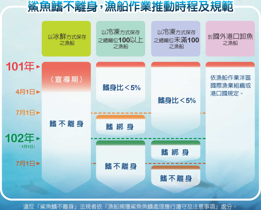 「鯊魚鰭不離身」專區