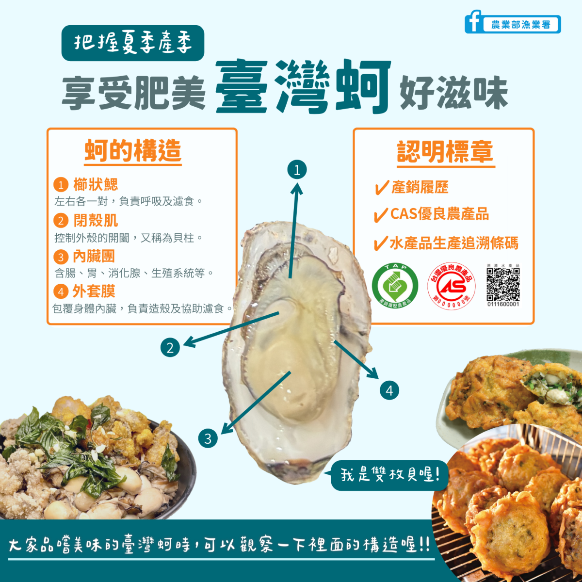 圖片敘述如右