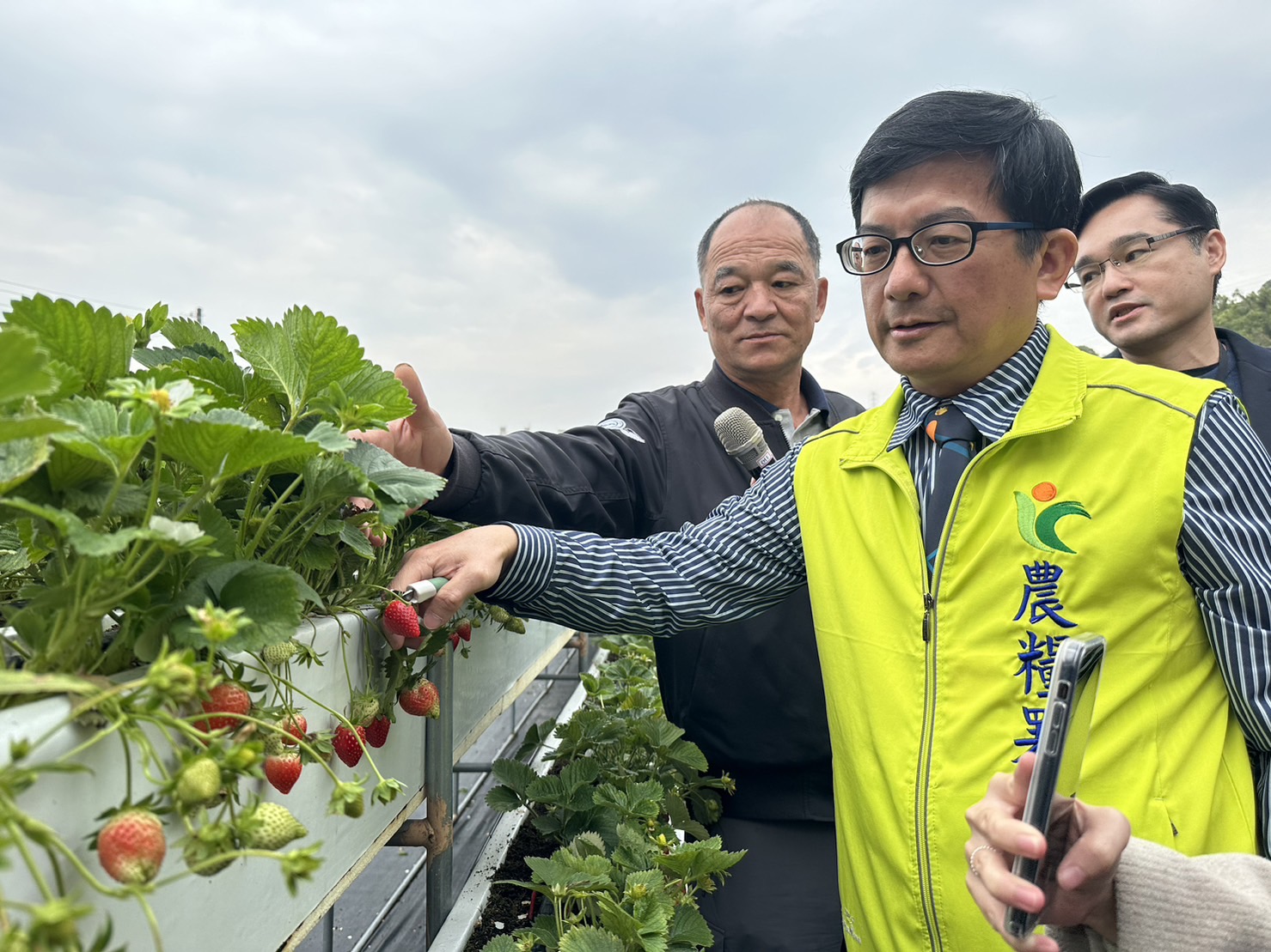 遇見大湖「莓」好滋味