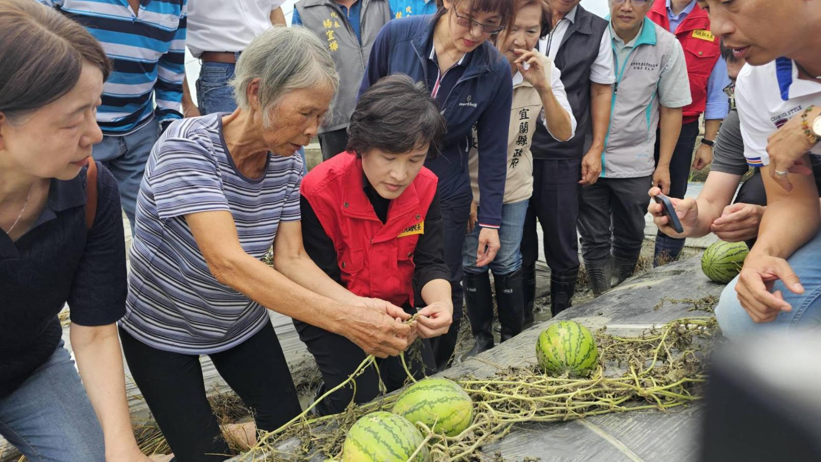 凱米颱風致宜蘭農損