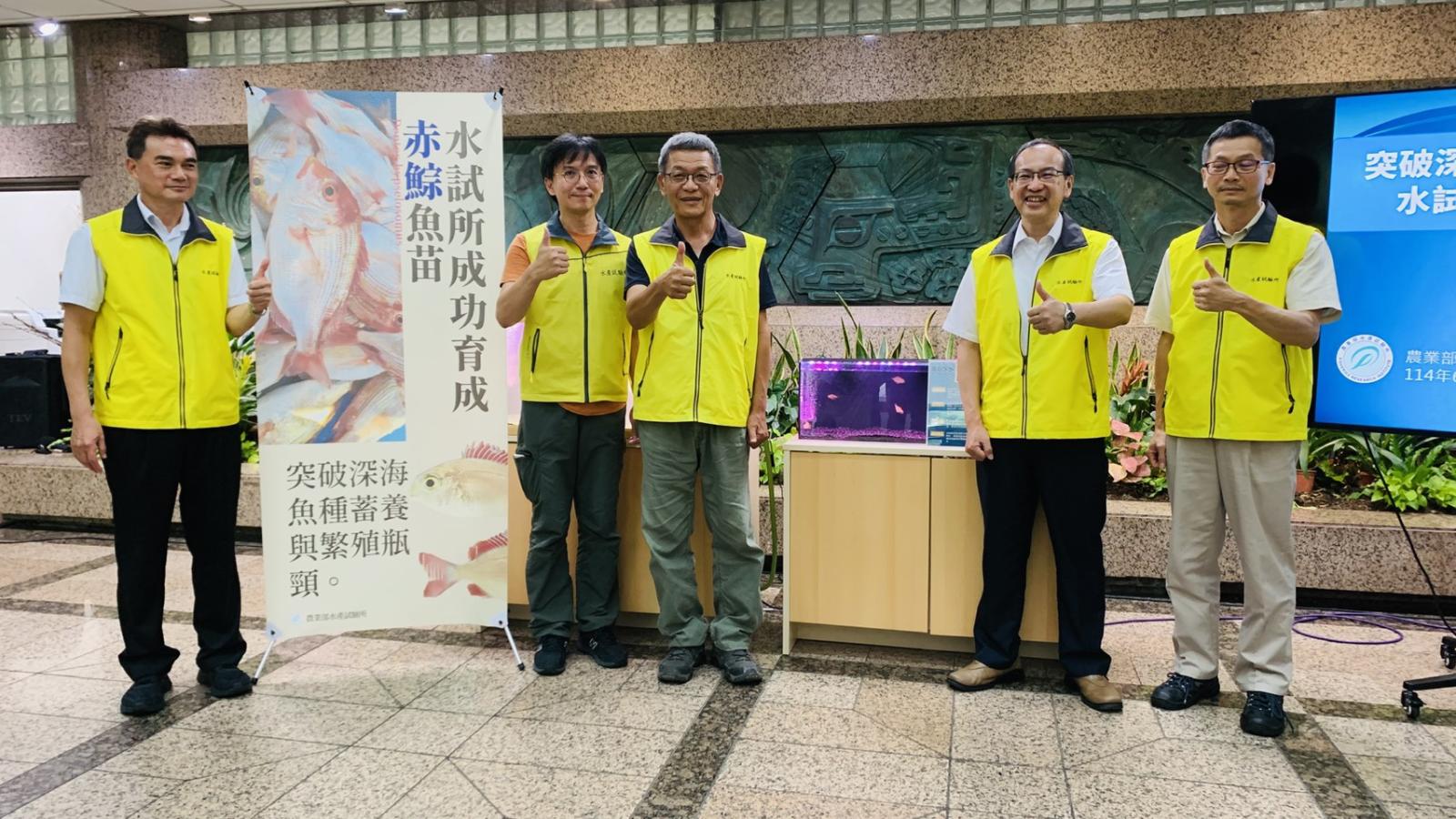 水試所成功育成赤鯮魚苗