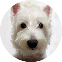 暗時抱報主持人