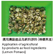 應用應副產品為飼料原料(檸檬果渣)圖片