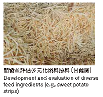 開發並評估多元化飼料原料(甘藷藏)