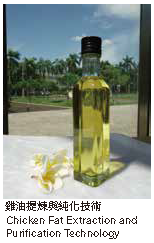 雞油提煉與純化技術