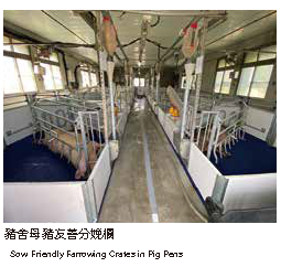 豬舍母豬友善分娩欄豬舍母豬友善分娩欄