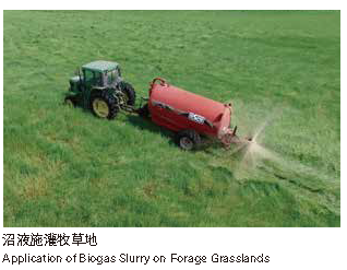 沼液施灌牧草地