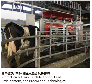 乳牛營養、飼料開發及生產技術推廣