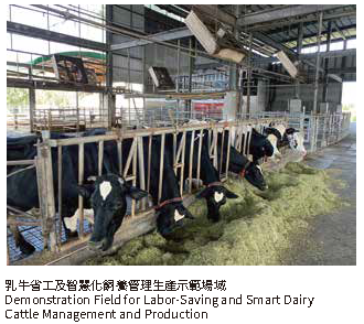 乳牛省工及智化飼養管理生產示範場域乳牛省工及智化飼養管理生產示範場域