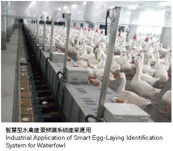 智慧型水禽產蛋辨識系統產業應用