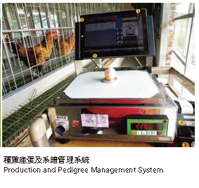 種雞產蛋及系譜管理系統